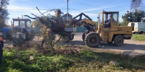 В настоящее время на территории города специализированные службы проводят работы по уборке контейнерных площадок от растительных отходов